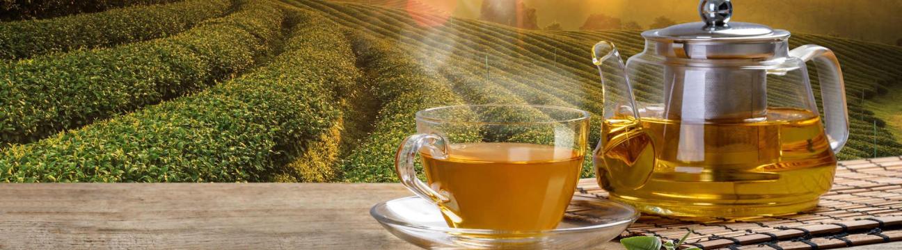 Corpseed ITES Pvt Ltd