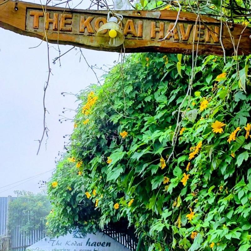 Kodaiheavenresort Kodaiheavenresort